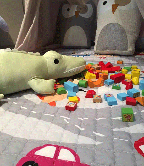 On The Move Baby Play Mat