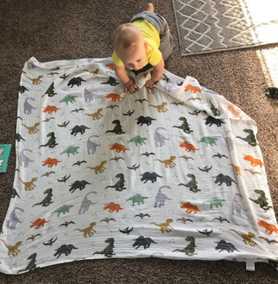 Dino Swaddle Wraps with baby full