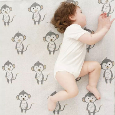 Monkey Baby Blanket