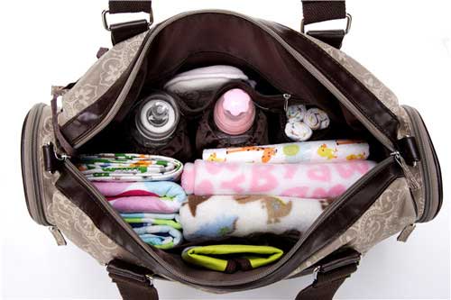 Bianca Large carry all